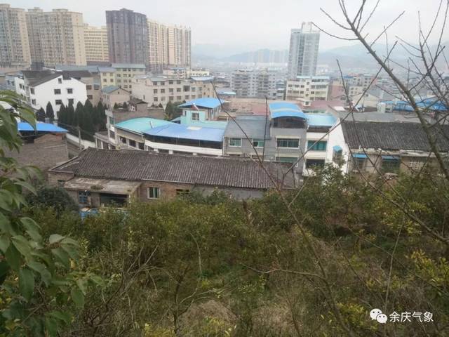 以上图为关兴镇狮山村凝冻情况(韩钦/供图) 上图两张为白泥镇新寨村