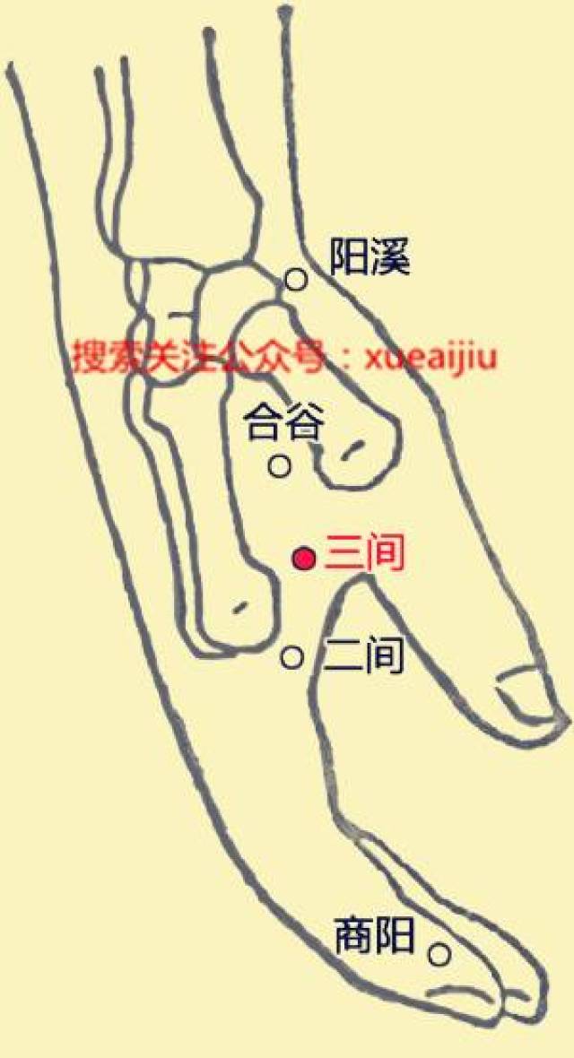 按摩这里,一分钟止咳!