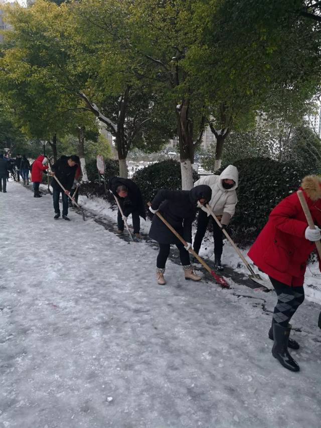 情暖一座城!三潭社区全力开展铲雪除冰工作
