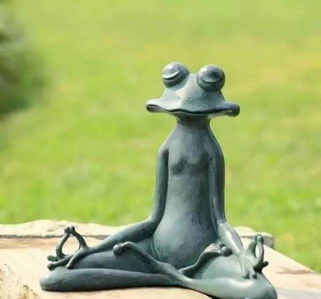 刷爆朋友圈的"青蛙,今天给大家介绍一下,一只练习瑜伽的青蛙!