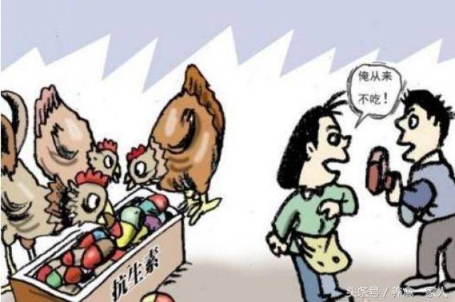 养鸡政策:2018年养鸡人要面对的三大行业改革