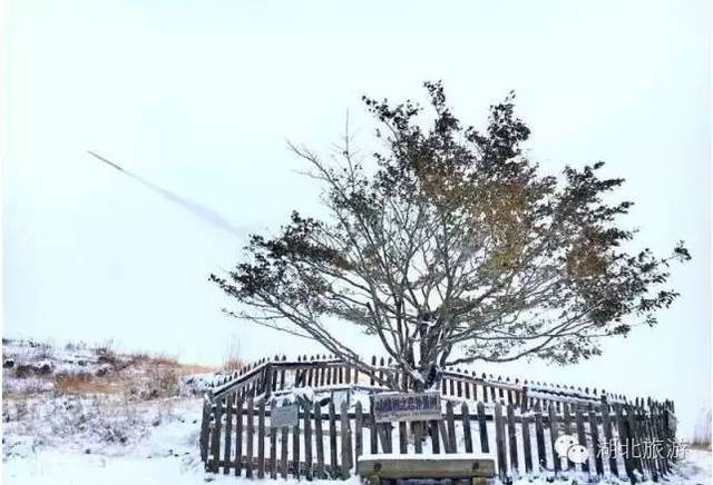 全宜昌最美的雪景都在这儿了~(文末有福利哦!