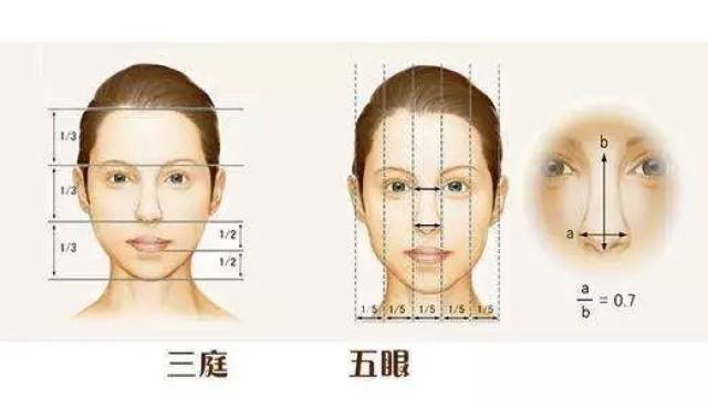 我们之前已经讨论过, 人中和下巴之间,有一定的比例关系
