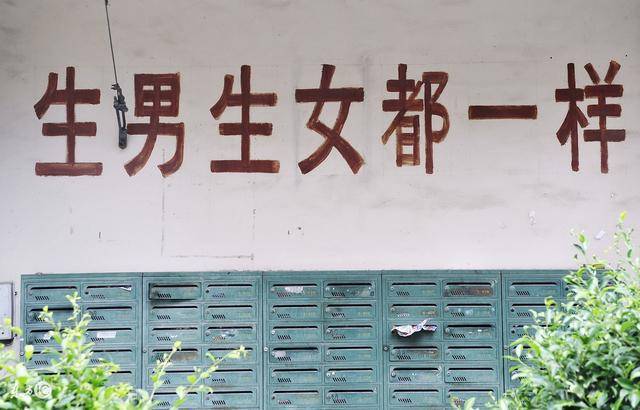 全智贤三年抱两个儿子,2018年清宫表,生男生女先知道!