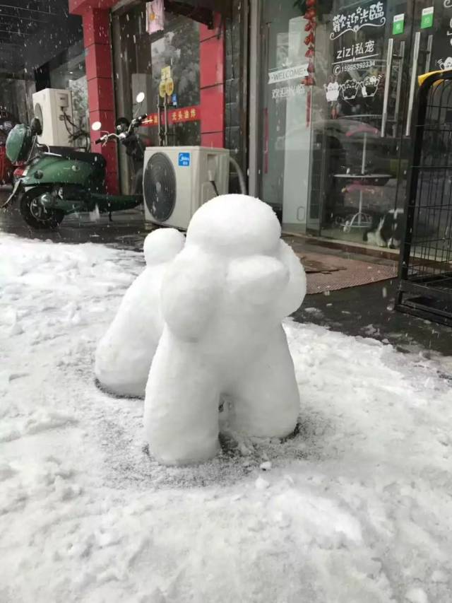 宜兴人你把雪人堆成这样是要笑死我吗?新一波雪景来袭