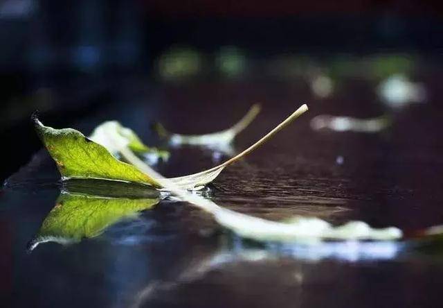 闲观云雾,静听风雨, 而惑之年,可谓自得