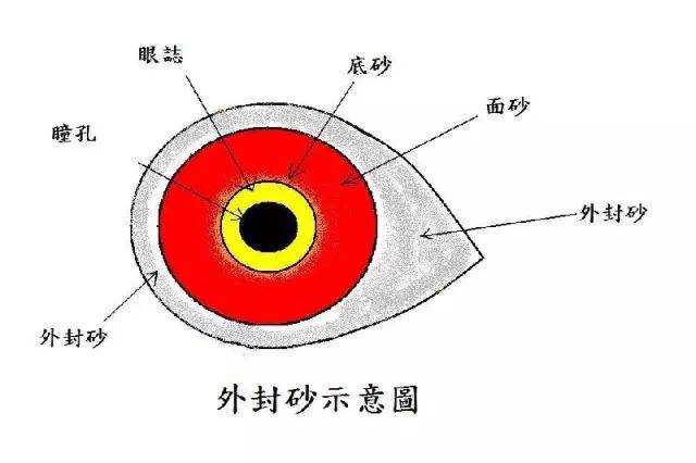 一是瞳孔(又称瞳仁),二是内线口(又称磁圈,内圈或品性圈),三是眼志(又