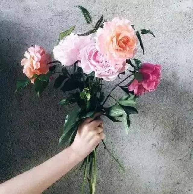 2018年1月28日,一曲好听的蒙语歌曲,有一种温