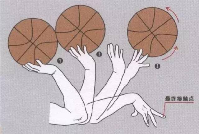 篮球基本功训练正确投篮姿势手型教学