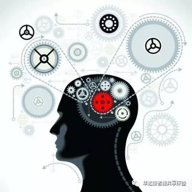 精神分析理论中所讲的潜意识,灵感的瞬间闪现,都与睡眠中的大脑活动也
