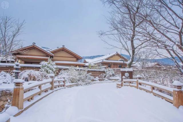 灵山和拈花湾雪景第二弹!内附航拍视频和小姐姐美照哦