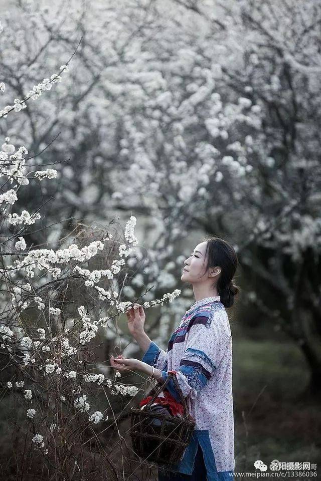 人像摄影:那年李花盛开时