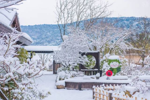 灵山和拈花湾雪景第二弹!内附航拍视频和小姐姐美照哦