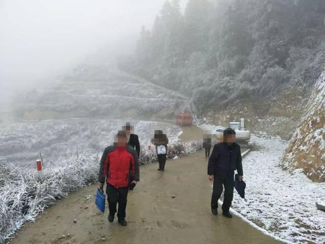 遂川真的下雪了,送上一波各地雪景美图!