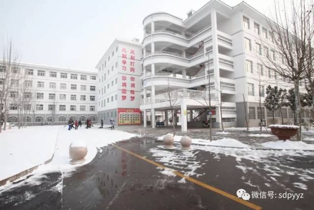 风雪挡不住的热情--平邑一中开展扫雪清路活动