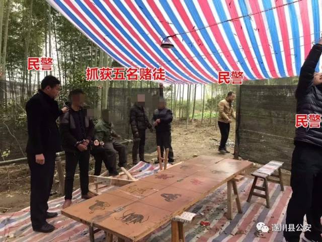 吉安一深山竹林竟然有"押葫芦"赌博窝点,民警乔装一举