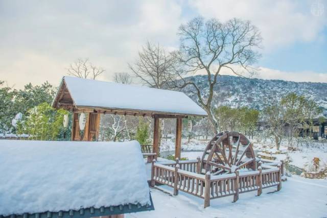 灵山和拈花湾雪景第二弹!内附航拍视频和小姐姐美照哦