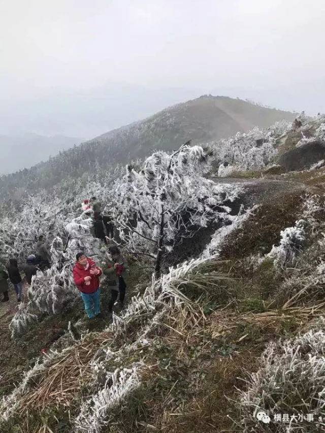 横县和灵山交界"东山"下雪了