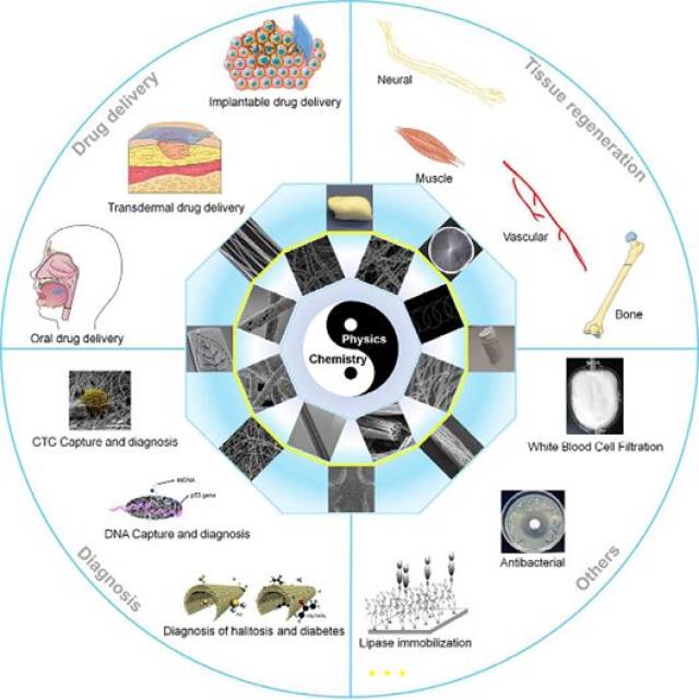静电纺丝分级结构的一维到三维聚合物纤维及其在生物医学领域的