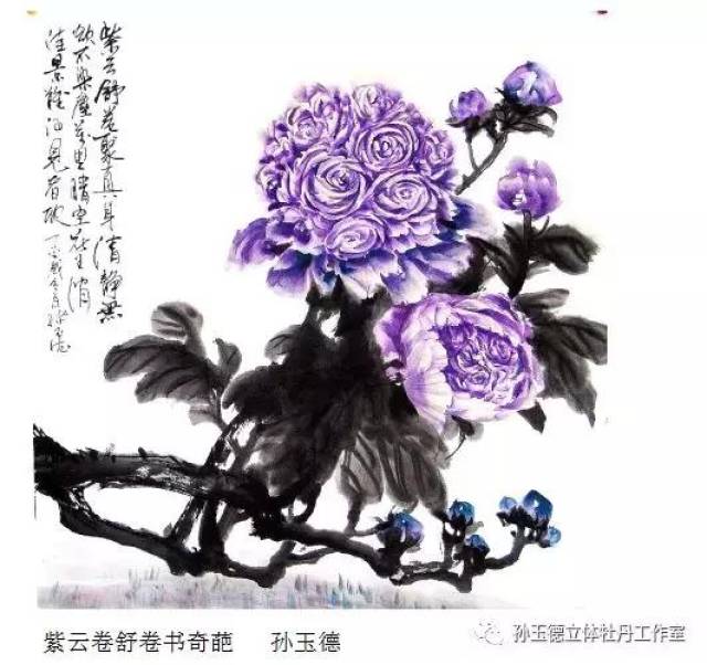孙玉德 搜狐网