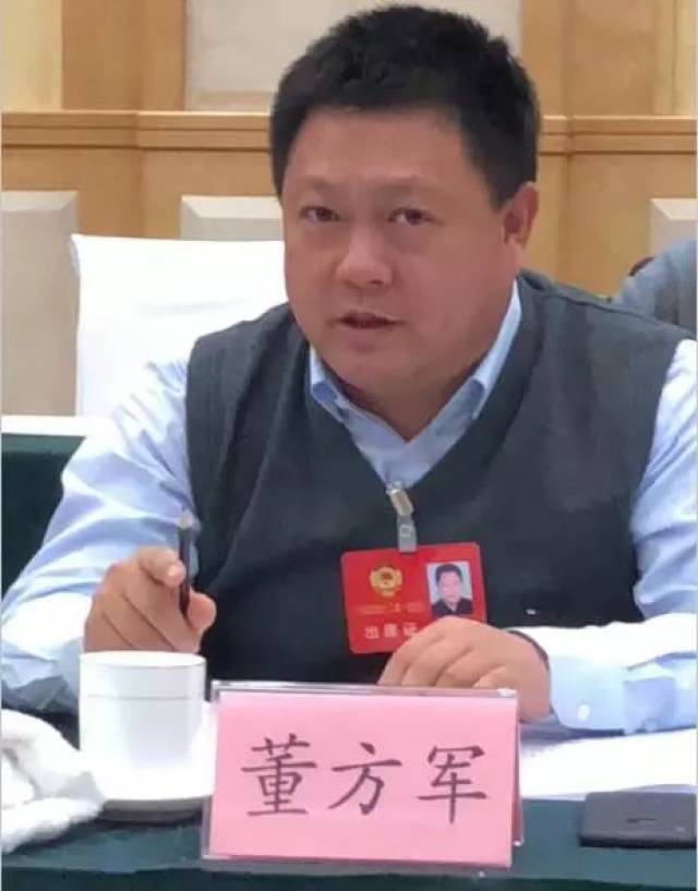 董方军会长:以公益模式吸引企业家参与乡村振兴_手机搜狐网