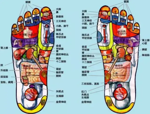 脚底穴位图解大全及按摩方法