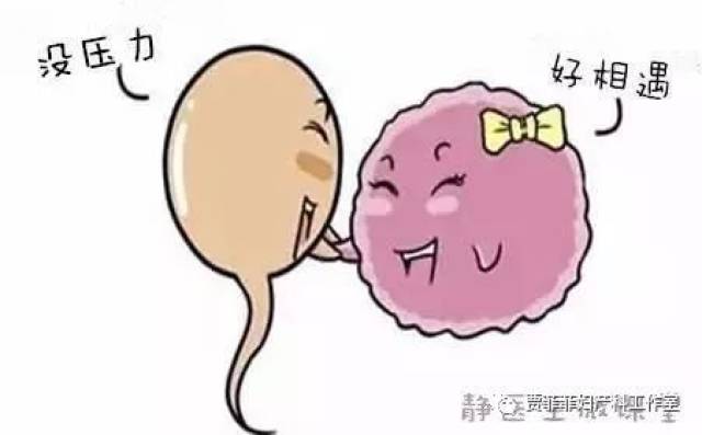 科学备孕--生男生女有窍门