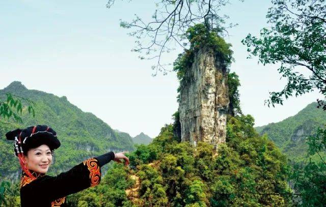 打折!大方县油杉河景区2018最新门票优惠政策出炉了!