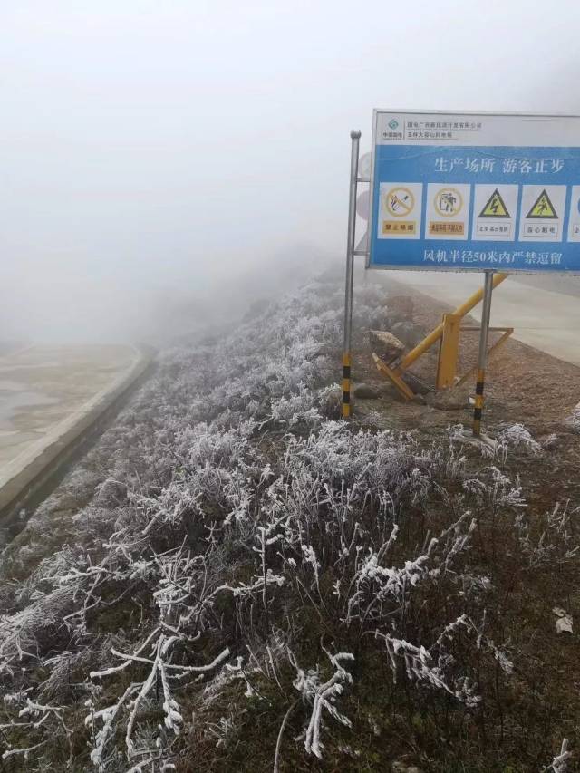 美到发抖,今天大容山再现结冰奇观!未来2天或有下雪可能