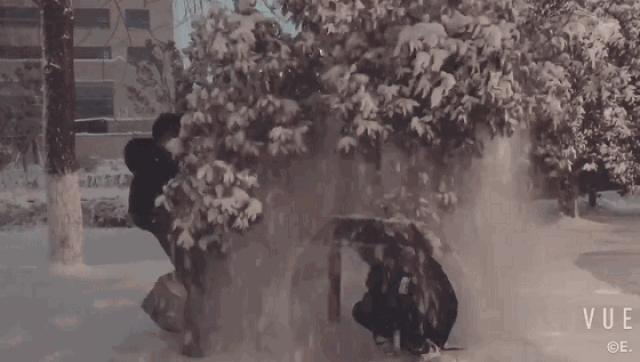 全国都在下雪,南北方玩雪大pk.