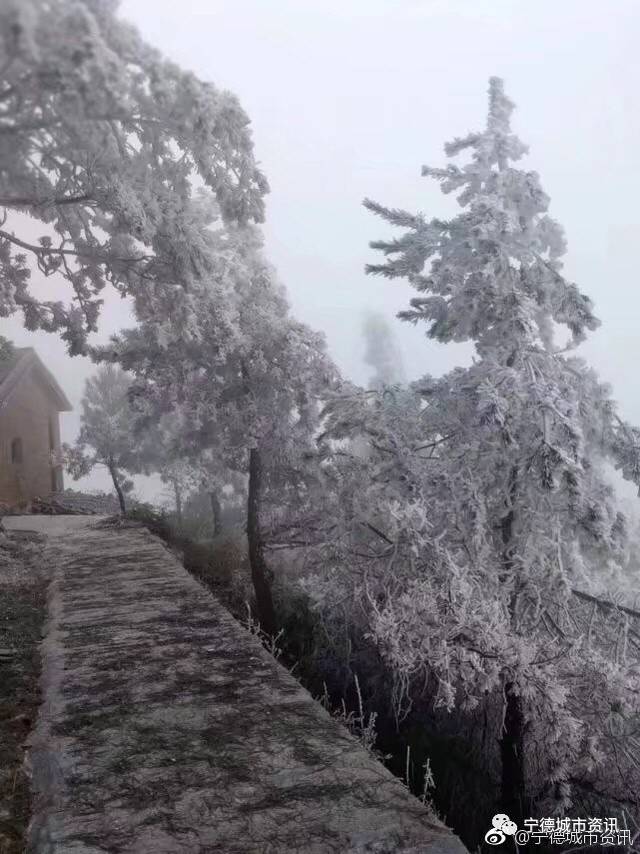 宁德变成"冻柜"没有雪就到寿宁仙岩看雾凇吧!