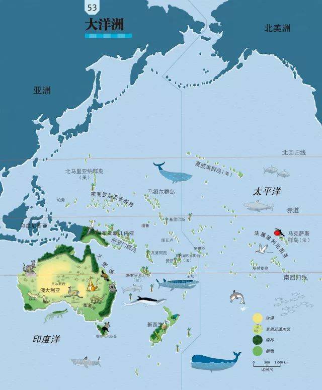乐乐趣科普时间丨课本之外听地理:探索太平洋的海洋生物