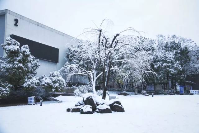 【雪景】下了雪以后的中国美术学院,美到窒息