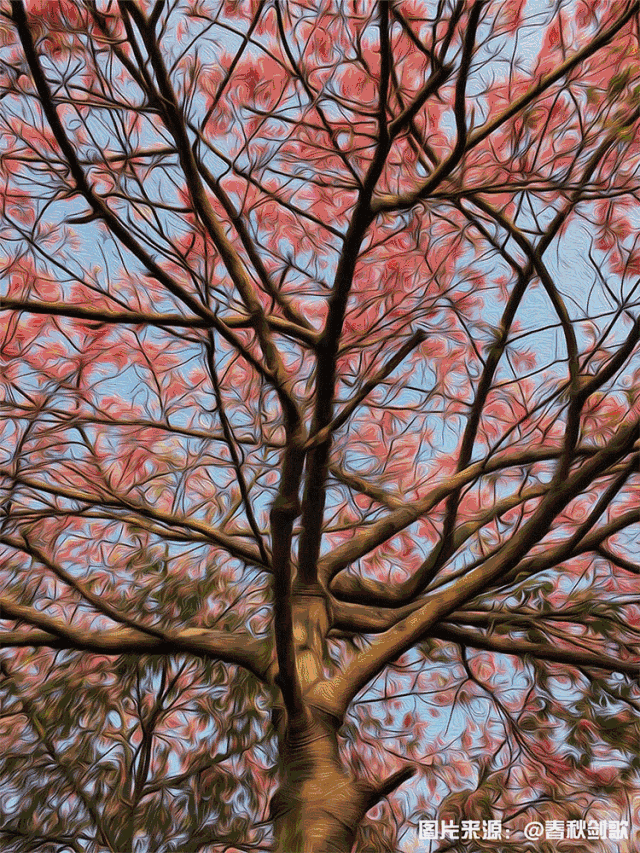 640_853 竖版 竖屏