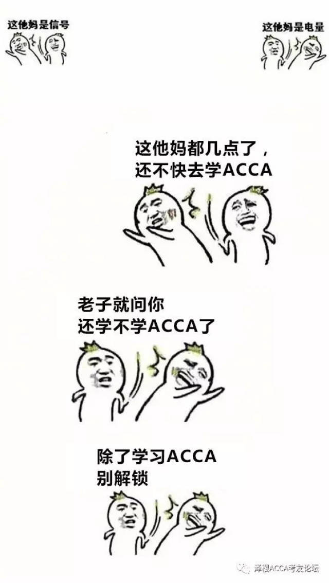 寒假备考acca没动力?那是因为你没有这些表情包(内含新年福利)