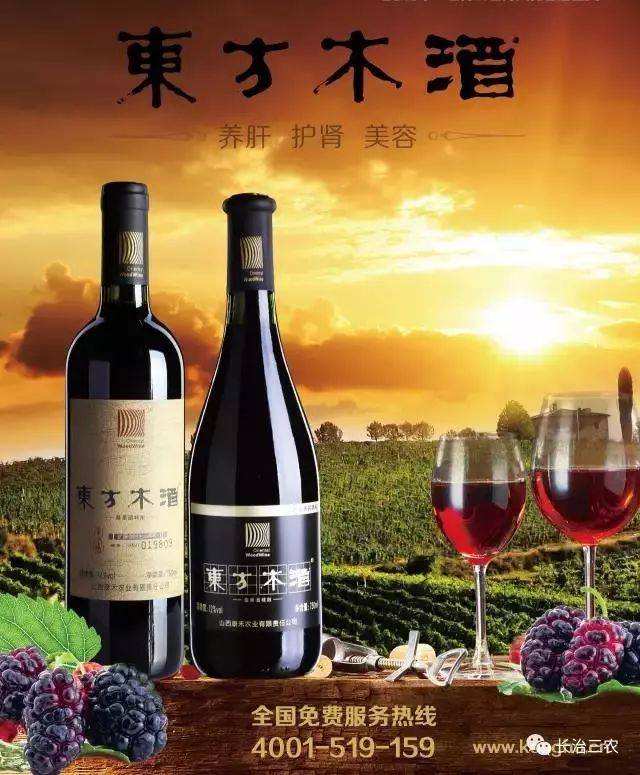 我有酒,你有故事吗 东方木酒牌圣紫,精酿系列桑果酒项目公开拍卖