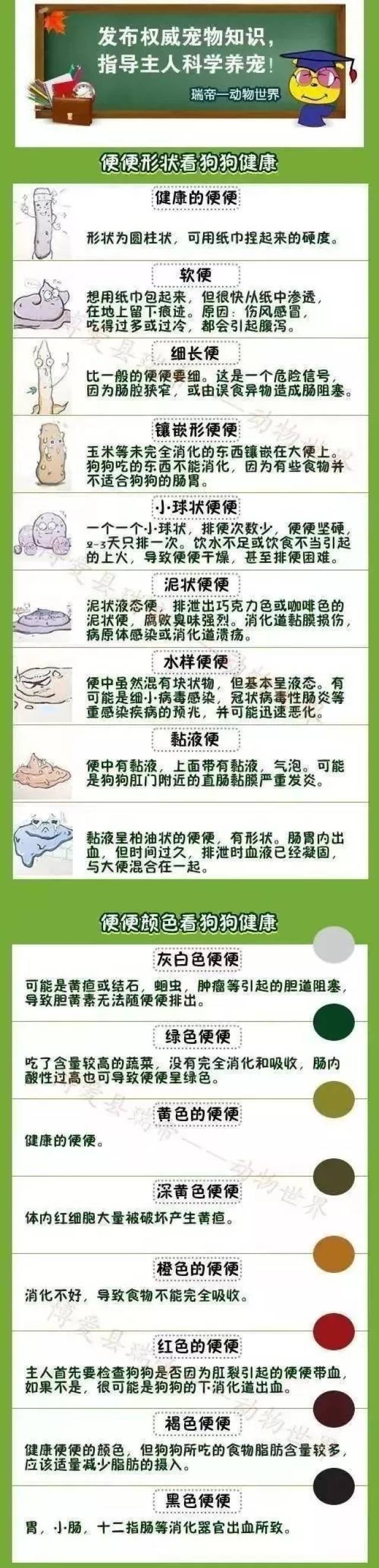酱状粪便:如果拉得比平时多证明吃多了不消化;还有一种原因,肠道水分