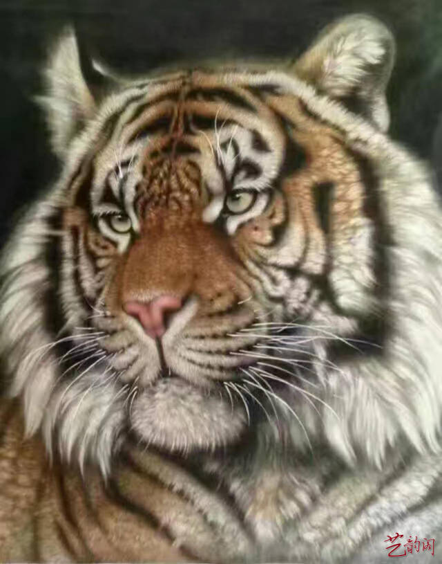 ֮ⷲ