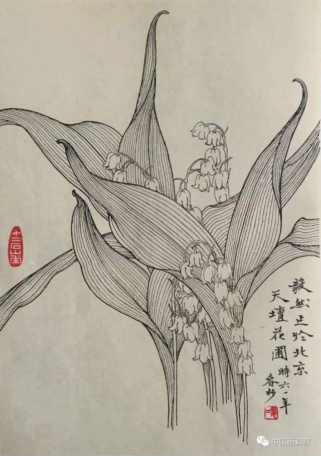 姜毅然先生—白描作品欣赏