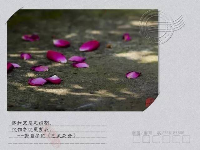 最美时光,不过一场红尘过客