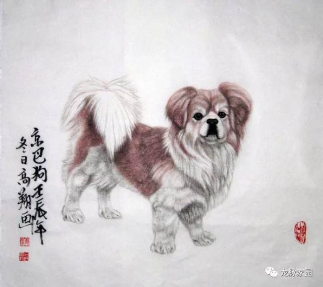 王金新画狗 马光画狗 工笔宫廷国画      声明:该文观点