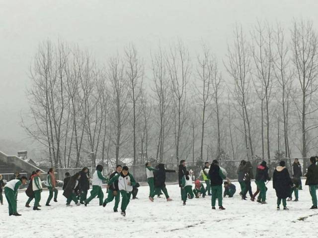 学校已开启打雪仗模式