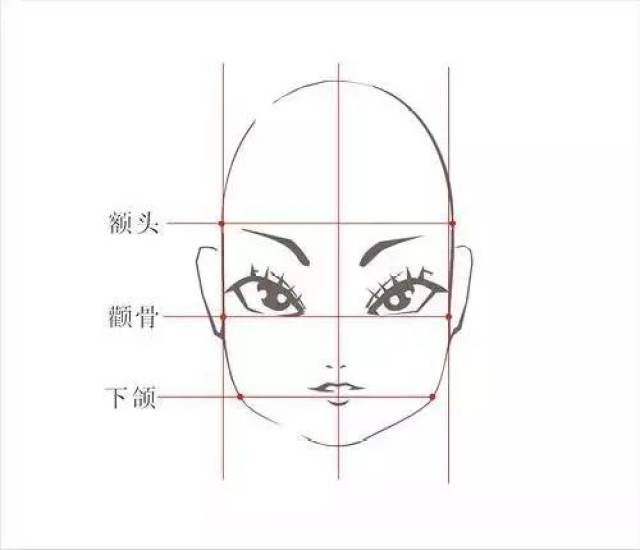 额头狭窄,颧骨突出,下巴和下颌骨处又比较窄的脸型.