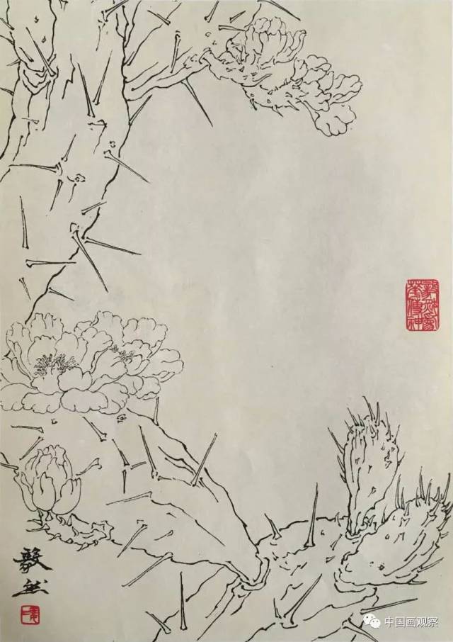 万寿菊