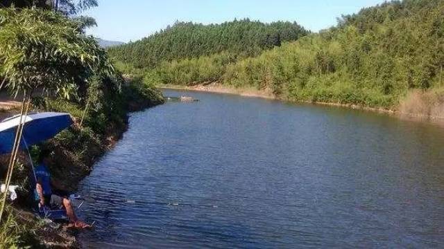 【钓鱼课堂】冬天钓鱼钓多深的水?这4种情况