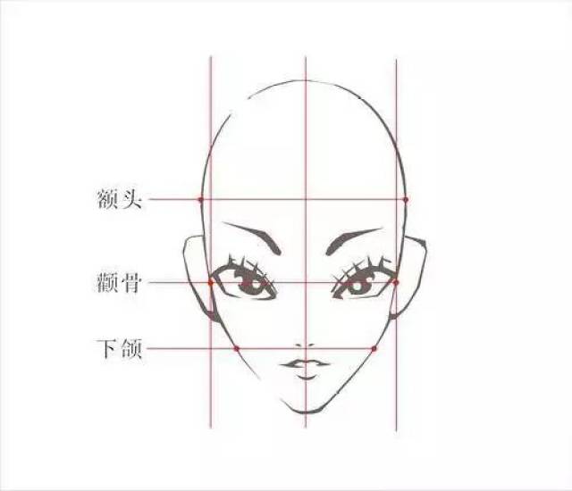 杏仁形脸,额头较为狭窄,下颌较宽的脸型,下巴有较圆的尖角.