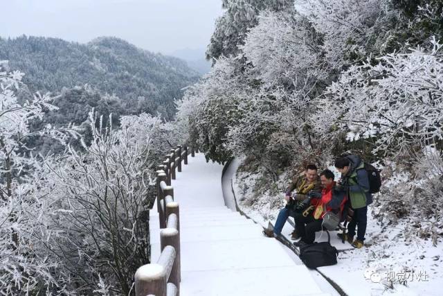 赏雪何须去远方 美景尽在雪峰山