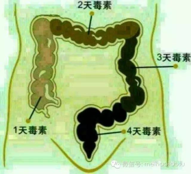 af71b48b6fbc4a658000da81b56eea66.jpeg