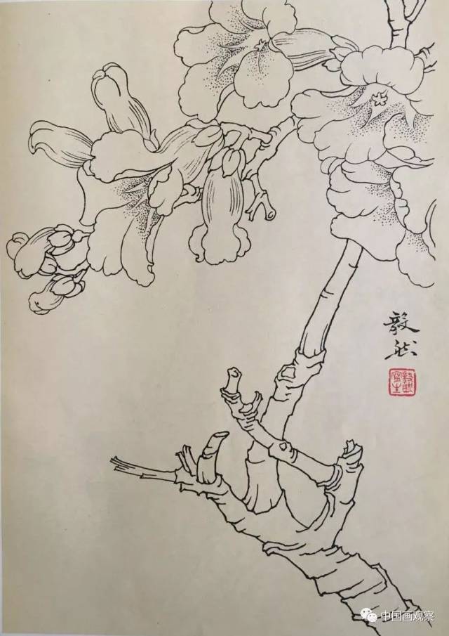 仙人掌