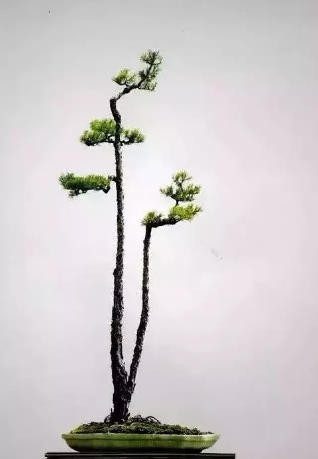 һһ,໥,,,˫ʽ辰Ʒ